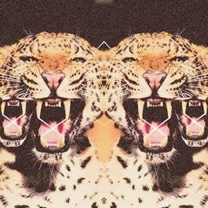 Meet your Posher, Jake